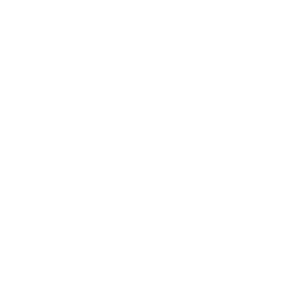 Illustration Turtle- The Maori People- Jimmy Nelson